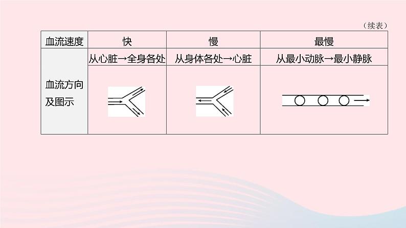 杭州专版2020中考生物复习方案第07课时与人体代谢相关的系统――循环和泌尿课件第7页