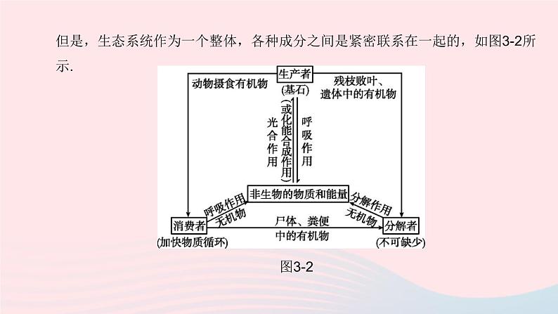 杭州专版2020中考生物复习方案第03课时种群群落生态系统和生物圈课件06