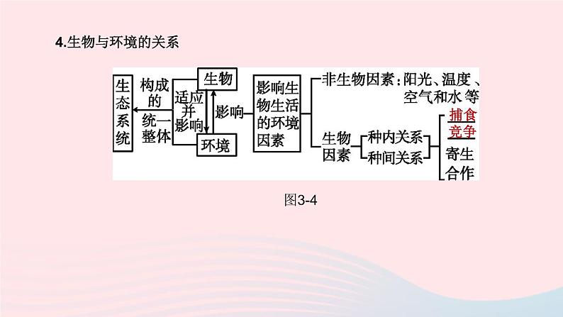 杭州专版2020中考生物复习方案第03课时种群群落生态系统和生物圈课件08