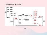 杭州专版2020中考生物复习方案第09课时生物的生殖和发育课件