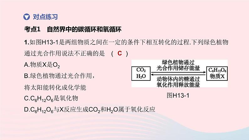 杭州专版2020中考生物复习方案第13课时物质间的循环和转化课件08