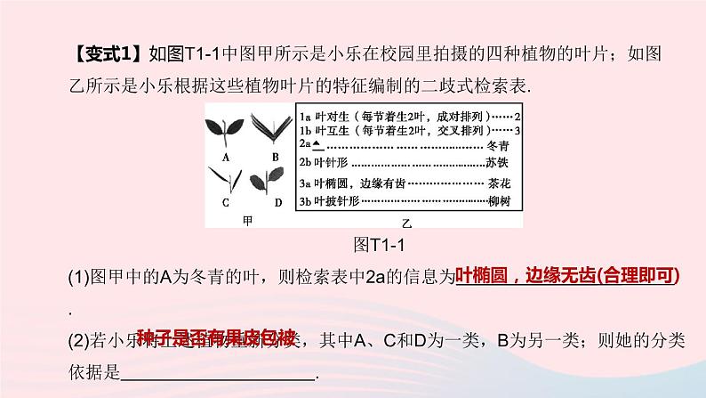 杭州专版2020中考生物复习方案专题01生命系统的结构层次课件第5页