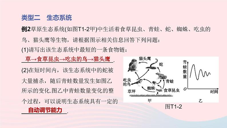 杭州专版2020中考生物复习方案专题01生命系统的结构层次课件第6页