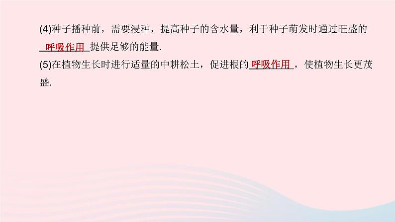 杭州专版2020中考生物复习方案第04课时绿色植物的光合作用和呼吸作用课件05