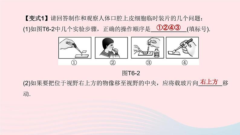 杭州专版2020中考生物复习方案专题06生物实验和探究课件第6页