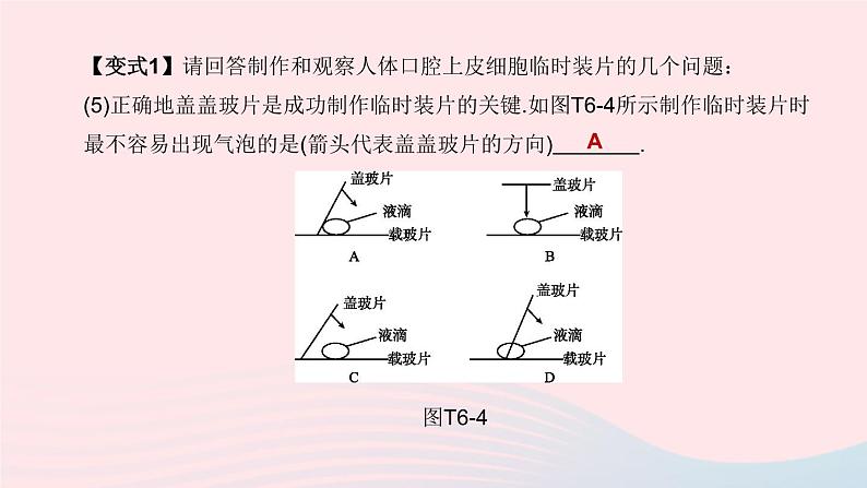 杭州专版2020中考生物复习方案专题06生物实验和探究课件第8页