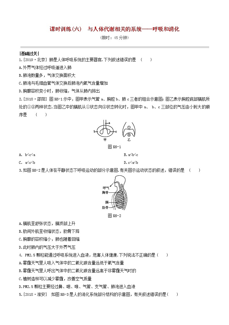 杭州专版2020中考生物复习方案课时训练06与人体代谢相关的系统――呼吸和消化第1页