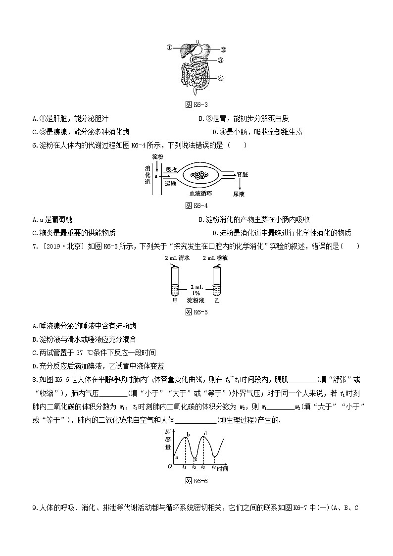 杭州专版2020中考生物复习方案课时训练06与人体代谢相关的系统――呼吸和消化第2页