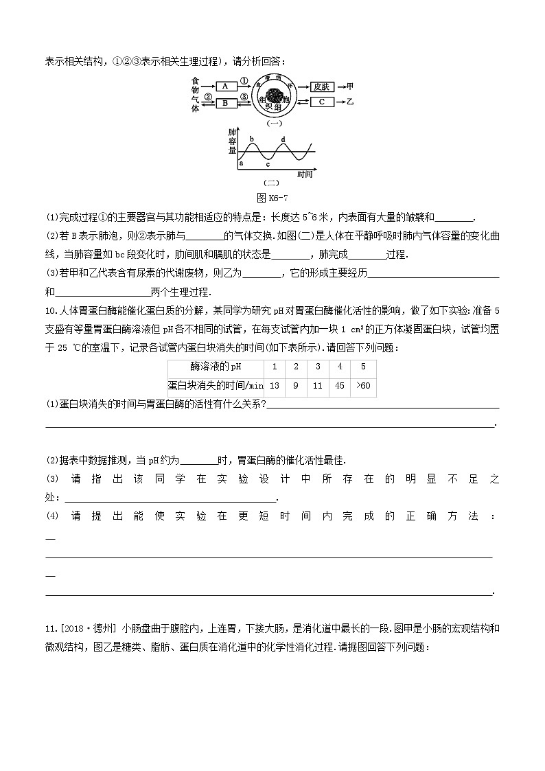 杭州专版2020中考生物复习方案课时训练06与人体代谢相关的系统――呼吸和消化第3页