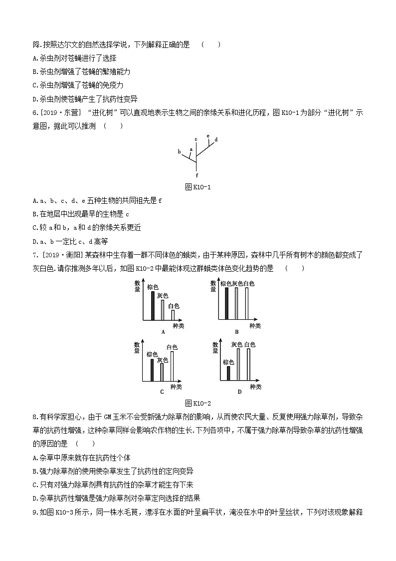 杭州专版2020中考生物复习方案课时训练10遗传和进化02
