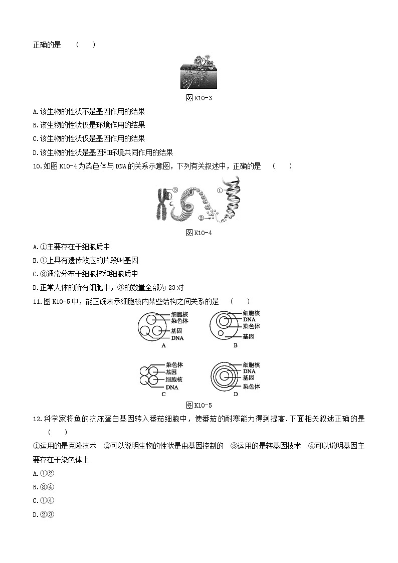 杭州专版2020中考生物复习方案课时训练10遗传和进化03