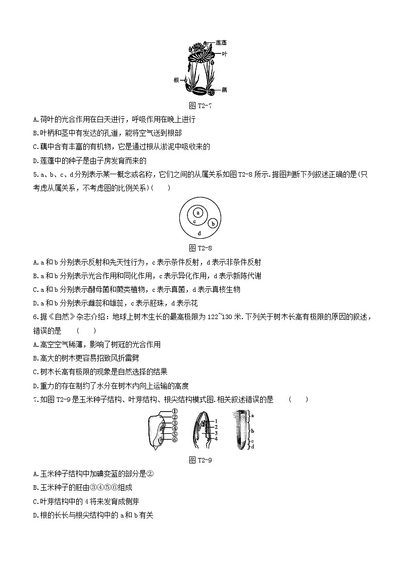 杭州专版2020中考生物复习方案专题02植物的代谢和生殖02