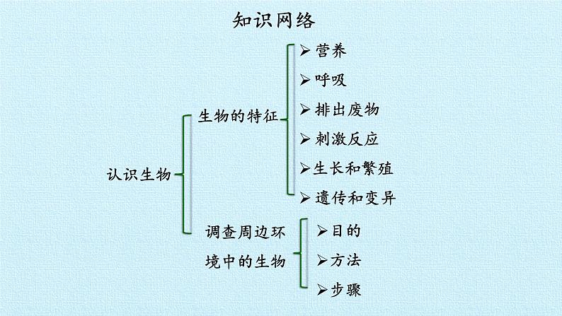 第一章 认识生物  复习课件02