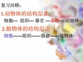 单细胞生物体.ppt用