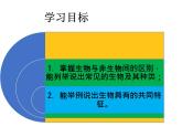 我们周围的生物PPT课件免费下载