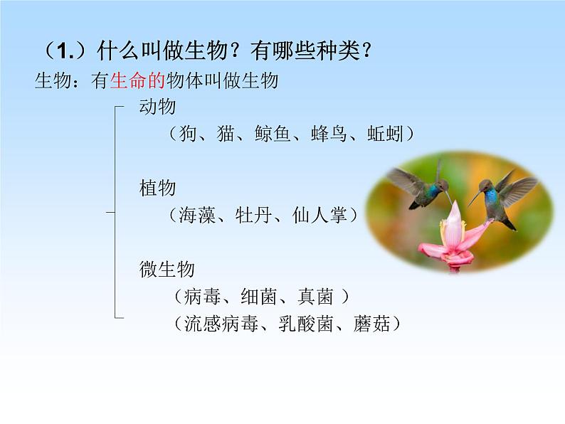 我们周围的生物PPT课件免费下载05