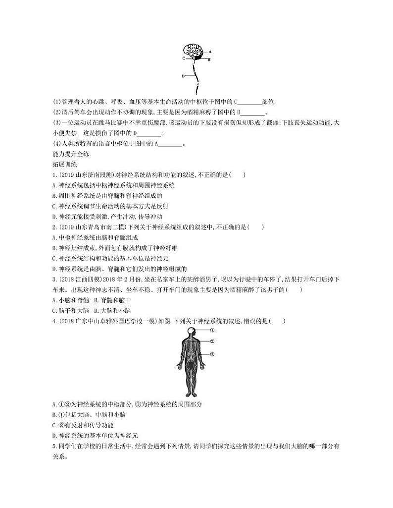 七年级生物下册第四单元生物圈中的人第六章人体生命活动的调节第二节神经系统的组成拓展练习（pdf）（新版）新人教版第2页