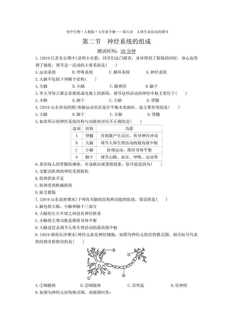 七年级生物下册第四单元生物圈中的人第六章人体生命活动的调节第二节神经系统的组成课时练习（pdf）（新版）新人教版第1页