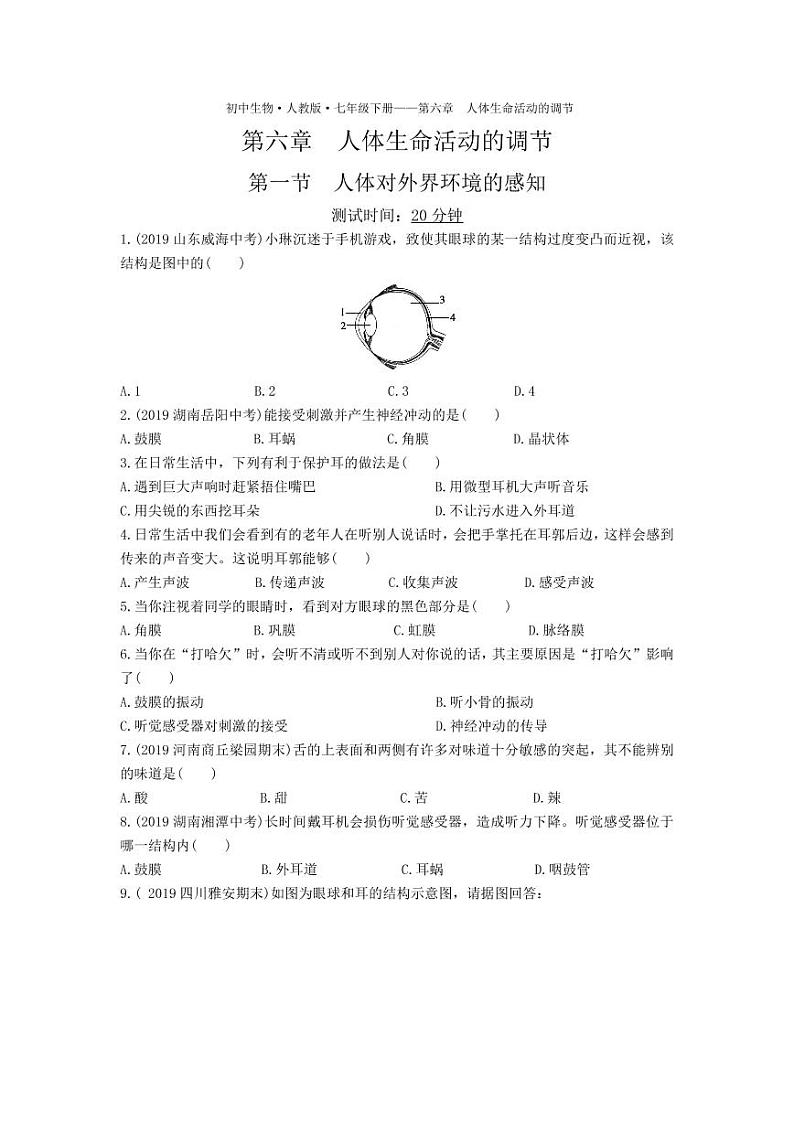 七年级生物下册第四单元生物圈中的人第六章人体生命活动的调节第一节人体对外界环境的感知课时练习（pdf）（新版）新人教版第1页