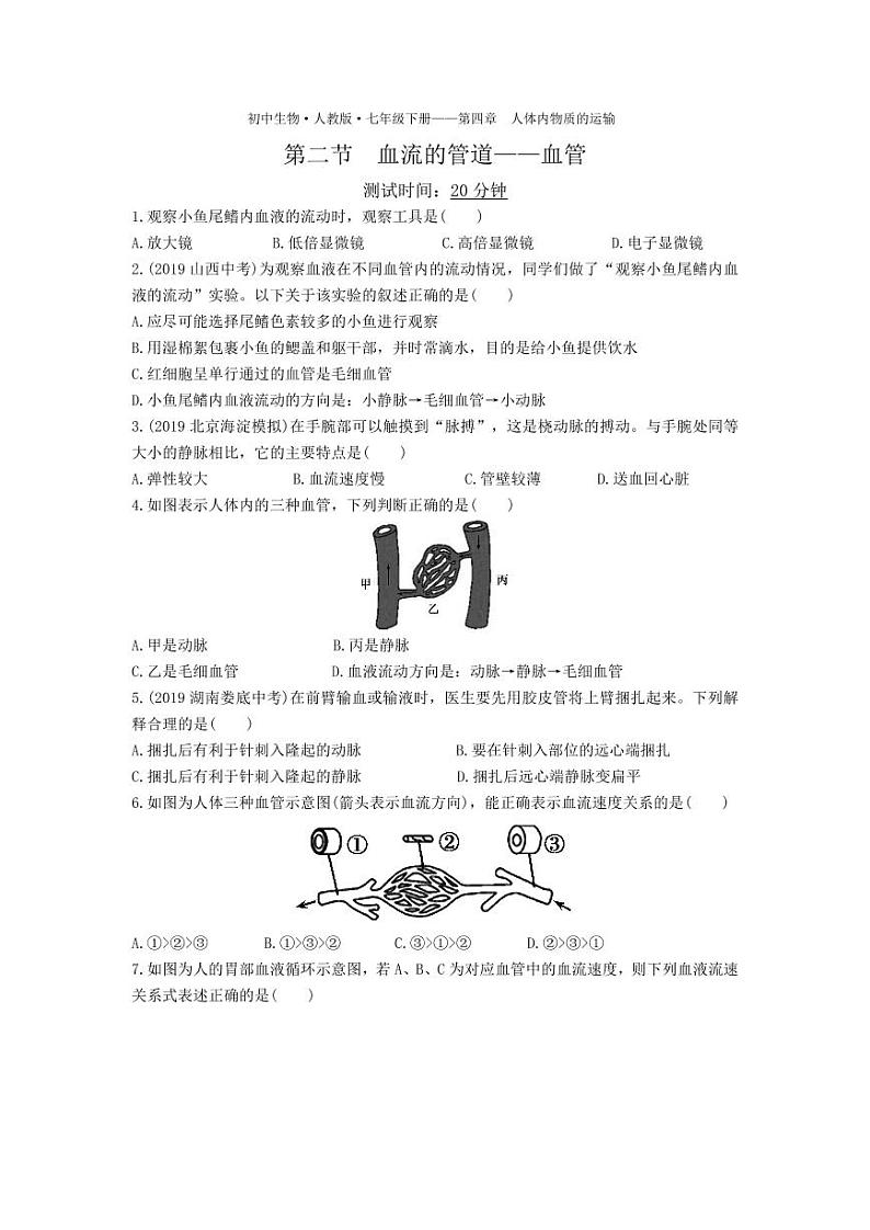 七年级生物下册第四单元生物圈中的人第四章人体内物质的运输第二节血流的管道—血管课时练习（pdf）（新版）新人教版01