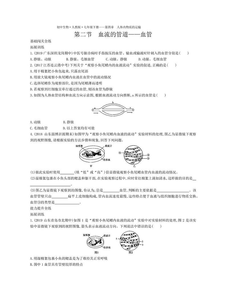 七年级生物下册第四单元生物圈中的人第四章人体内物质的运输第二节血流的管道—血管拓展练习（pdf）（新版）新人教版01