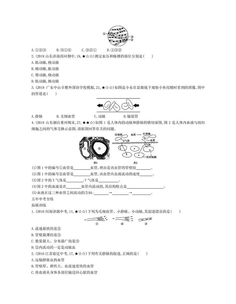 七年级生物下册第四单元生物圈中的人第四章人体内物质的运输第二节血流的管道—血管拓展练习（pdf）（新版）新人教版03