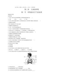 人教版 (新课标)七年级下册第一节 呼吸道对空气的处理综合训练题