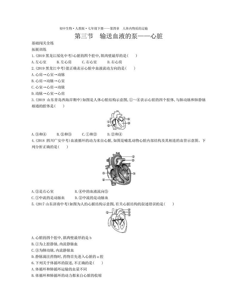 七年级生物下册第四单元生物圈中的人第四章人体内物质的运输第三节输送血液的泵—心脏拓展练习（pdf）（新版）新人教版01