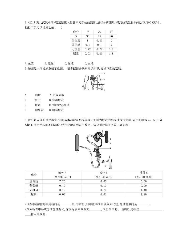 七年级生物下册第四单元生物圈中的人第五章人体内废物的排出拓展练习（pdf）（新版）新人教版第2页