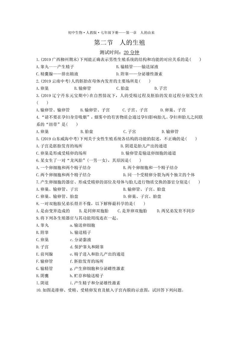 七年级生物下册第四单元生物圈中的人第一章人的由来第二节人的生殖课时练习（pdf）（新版）新人教版01