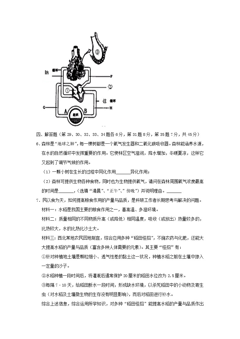 浙江省绍兴市诸暨市2019年中考生物模拟试卷（1）第2页