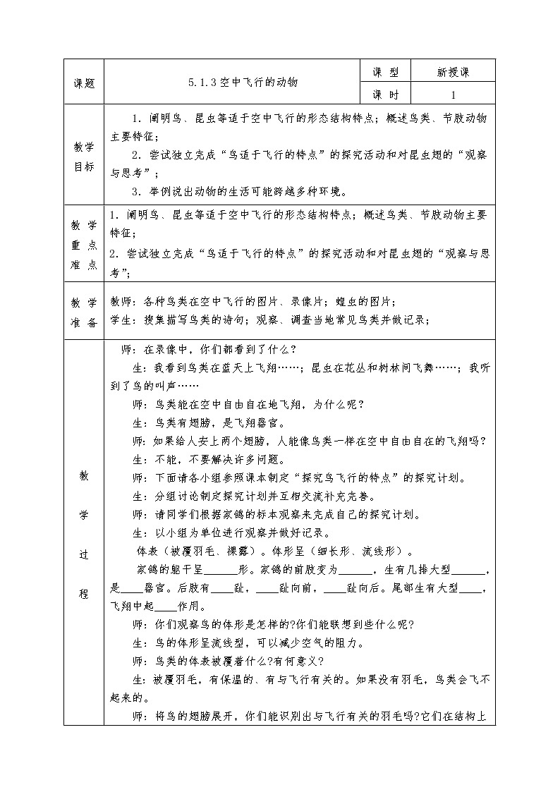 人教版八年级上册生物全册教案5.1.3 空中飞行的动物01