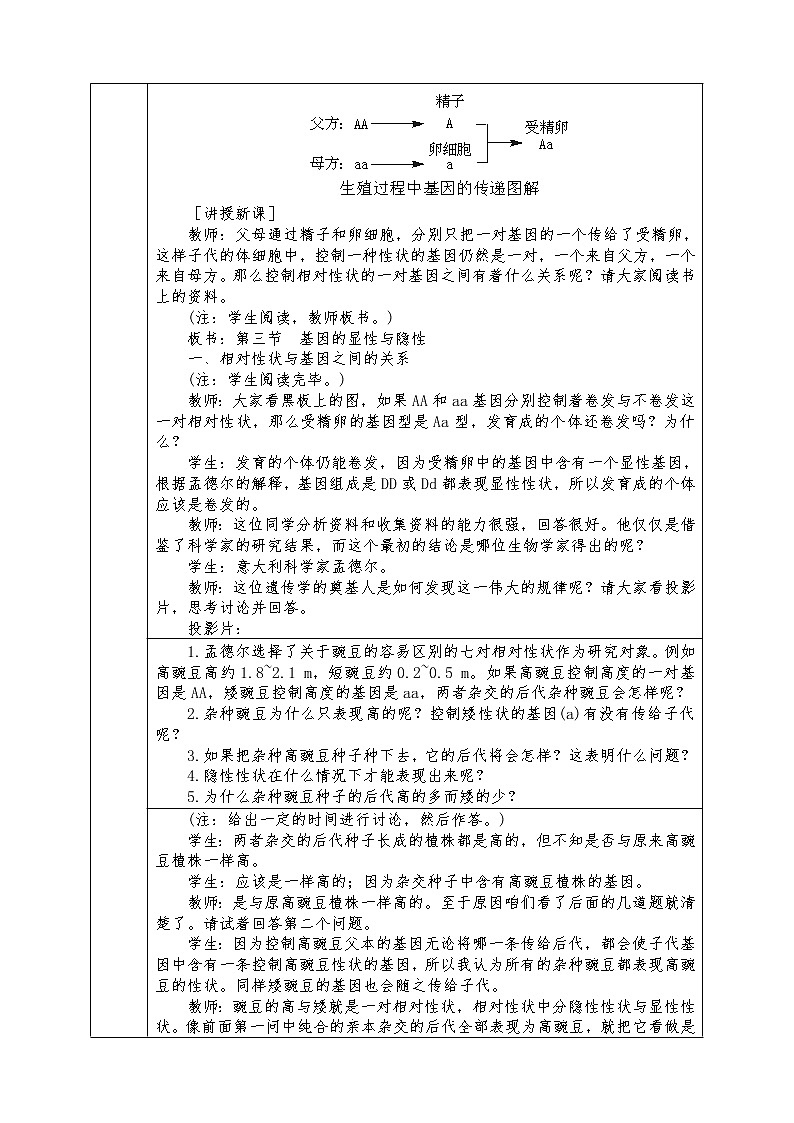 人教版八年级下册生物全册教案7.2.3基因的显性和隐性第2页