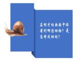 北師大版生物八年級上冊 15.1 動物運(yùn)動的方式  課件
