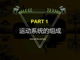15.2 动物运动的形成-第1课时 课件 北师大版八年级上册生物(共34张PPT)