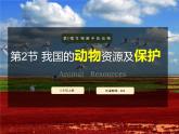 17.2 我國的動(dòng)物資源及保護(hù) 課件 北師大版八年級(jí)上冊生物(共30張PPT)