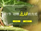 15.1 動物運(yùn)動的方式 北師大版八年級上冊生物課件(共26張PPT)
