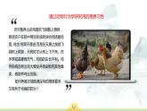 16.3 动物行为的研究 课件 北师大版八年级上册生物(共25张PPT)