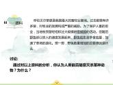 17.1 动物在生物圈中的作用 课件 北师大版八年级上册生物(共36张PPT)