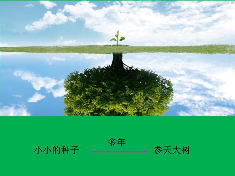 七年级生物上册课件（人教版）：2.2.1细胞通过分裂产生新细胞第3页