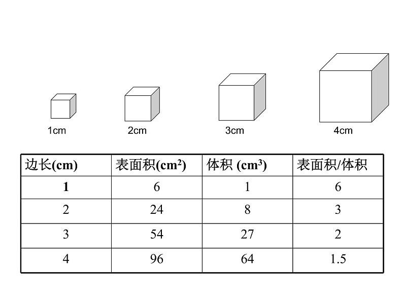 七年级生物上册课件（人教版）：2.2.1细胞通过分裂产生新细胞第8页