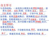 人教版七年级上册生物 3.2.3 开花和结果 课件（29张ppt）