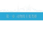 人教版八年级上册第一章 第一节  腔肠动物和扁形动物课件 (共31张PPT)