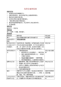 生物人教版 (新课标)第四节 鸟的生殖和发育教案