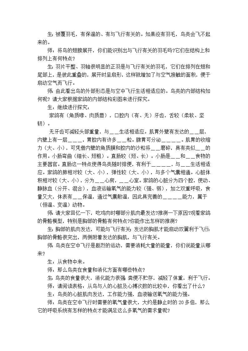 5.1.3 空中飞行的动物 教案102