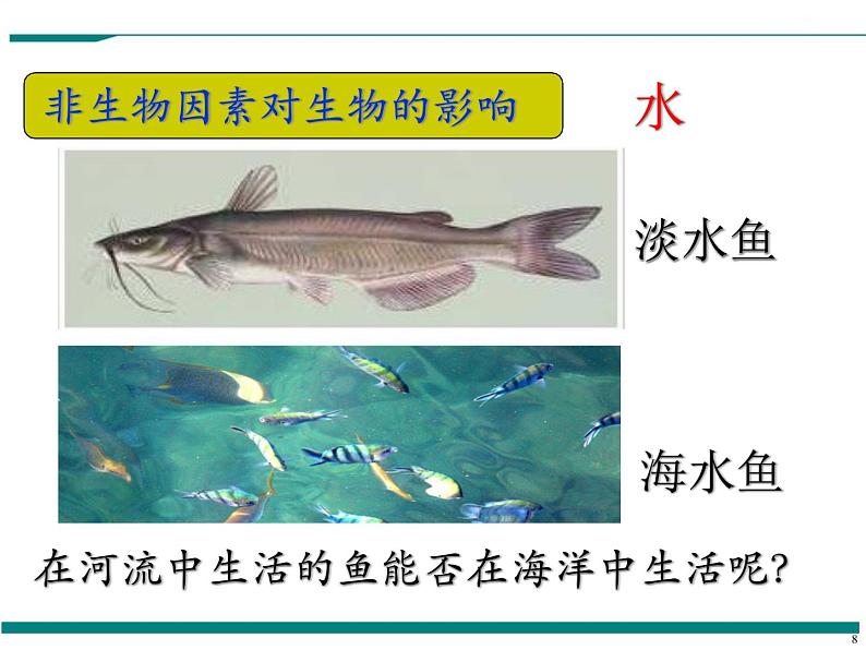 1.2.1 生物与环境的关系 PPT教学课件08