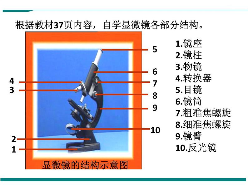 2.1.1 练习使用显微镜 PPT教学课件03