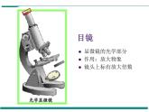 2.1.1 练习使用显微镜 PPT教学课件