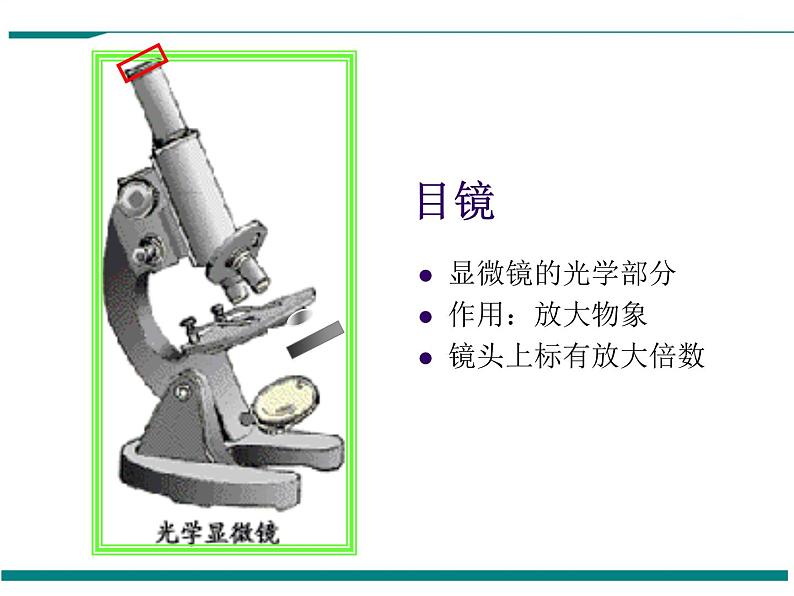 2.1.1 练习使用显微镜 PPT教学课件04