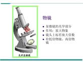 2.1.1 练习使用显微镜 PPT教学课件